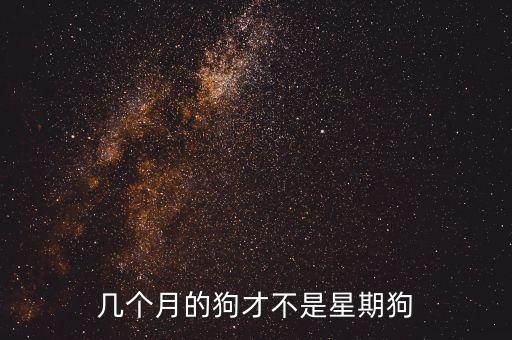 幾個月的狗才不是星期狗
