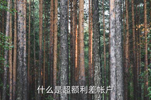 什么是超額利差帳戶