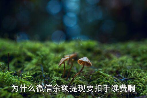 為什么微信提現(xiàn)要手續(xù)費，微信提現(xiàn)為什么要手續(xù)費
