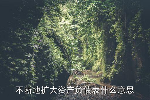 不斷地擴大資產(chǎn)負債表什么意思