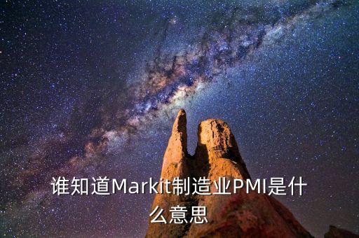 制造業(yè)pmi值是什么，誰知道Markit制造業(yè)PMI是什么意思