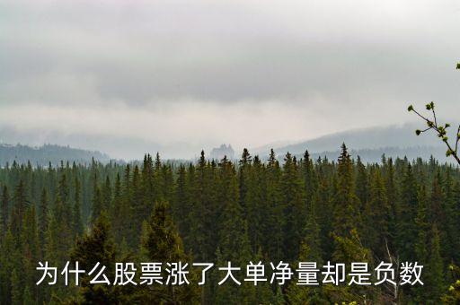 為什么股票漲了大單凈量卻是負數(shù)