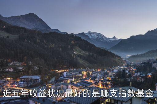 近五年收益狀況最好的是哪支指數(shù)基金
