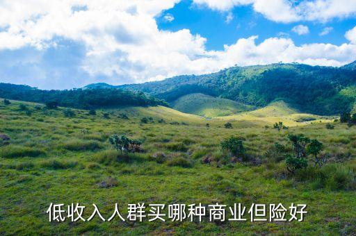窮人買什么保險(xiǎn)好，低收入人群買哪種商業(yè)但險(xiǎn)好