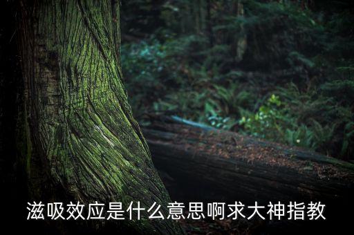 滋吸效應(yīng)是什么意思啊求大神指教