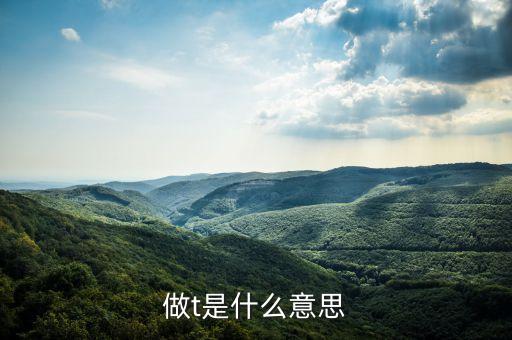做t是什么意思