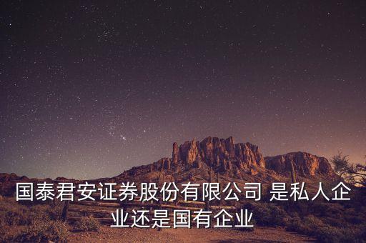國(guó)泰君安證券股份有限公司 是私人企業(yè)還是國(guó)有企業(yè)