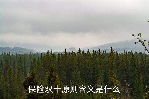 保險(xiǎn)雙十原則含義是什么
