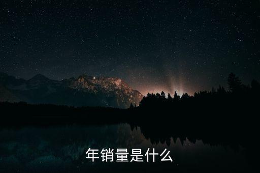 年銷量是什么