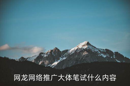 網(wǎng)龍?jiān)诰€教育做什么，網(wǎng)龍網(wǎng)絡(luò)推廣大體筆試什么內(nèi)容