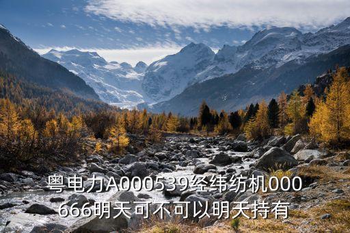 粵電力A000539經緯紡機000666明天可不可以明天持有