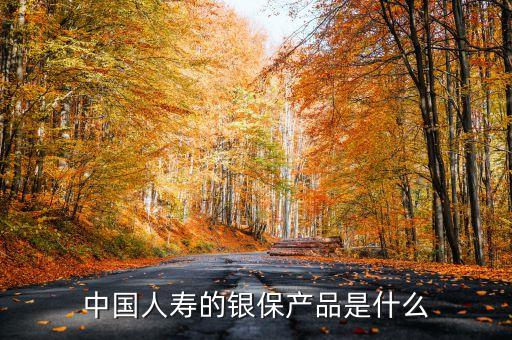中國人壽的銀保產(chǎn)品是什么