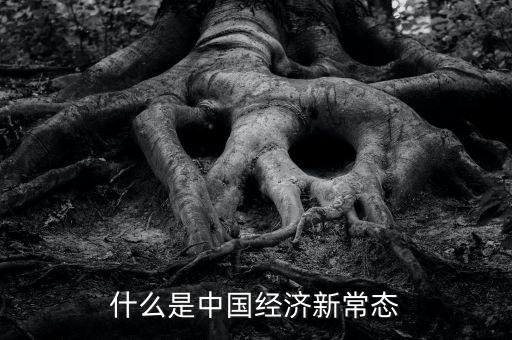 什么是中國經(jīng)濟(jì)新常態(tài)