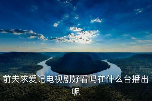 中匯影視是干什么的，前夫求愛記電視劇好看嗎在什么臺播出呢