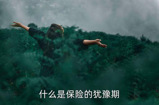 什么是保險的猶豫期