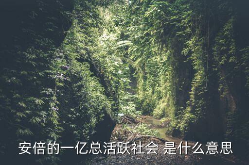 一億總活躍社會(huì)是什么， 安倍的一億總活躍社會(huì) 是什么意思