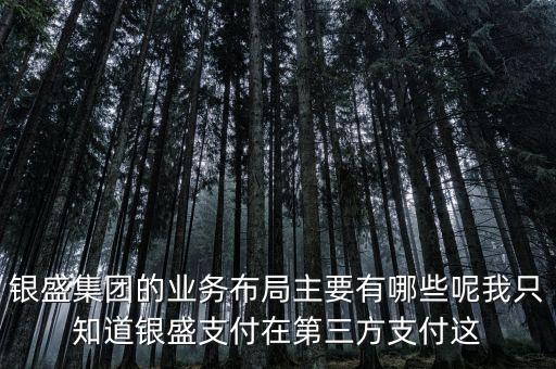 銀盛集團的業(yè)務(wù)布局主要有哪些呢我只知道銀盛支付在第三方支付這