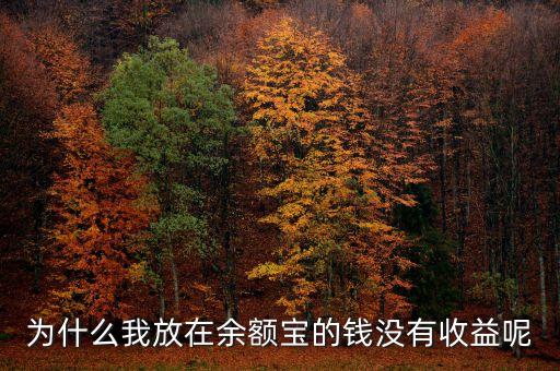 為什么我放在余額寶的錢沒有收益呢