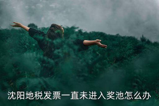 沈陽(yáng)地稅發(fā)票一直未進(jìn)入獎(jiǎng)池怎么辦