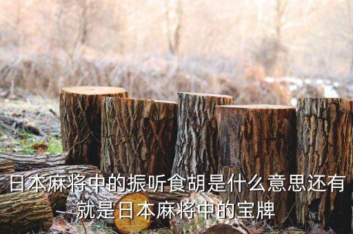 匯盈貸是什么，日本麻將中的振聽(tīng)食胡是什么意思還有就是日本麻將中的寶牌