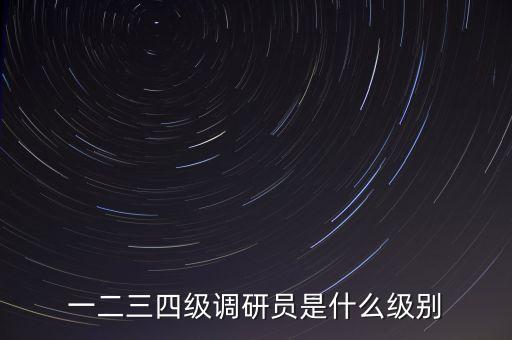 一二三四級調(diào)研員是什么級別