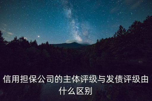 信用擔保公司的主體評級與發(fā)債評級由什么區(qū)別