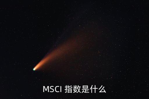 比爾指數(shù)是什么，MSCI 指數(shù)是什么