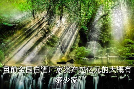 目前全國白酒廠家資產(chǎn)過億元的大概有多少家