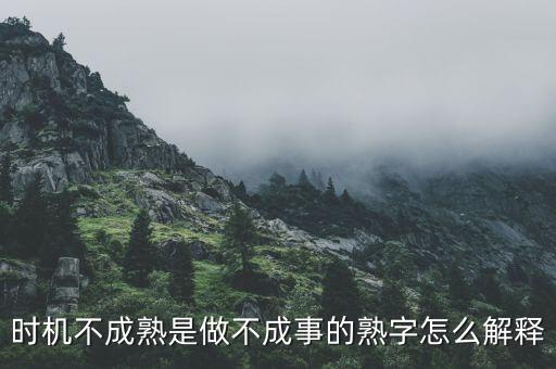 時(shí)機(jī)還不成熟的成熟是什么意思，男生對(duì)女生說(shuō)時(shí)機(jī)末到還不成熟是什么意思