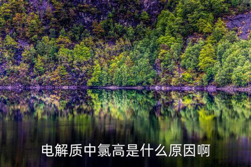 電解質中氯高是什么原因啊