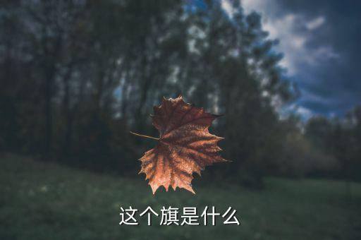 601718旗是什么，7月1日是什么旗