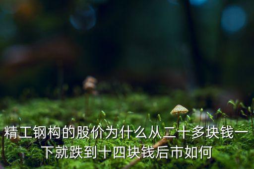 精工鋼構(gòu)什么時(shí)候送股，精工鋼構(gòu)的股價(jià)為什么從二十多塊錢一下就跌到十四塊錢后市如何