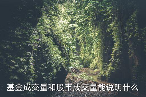 基金成交量和股市成交量能說明什么