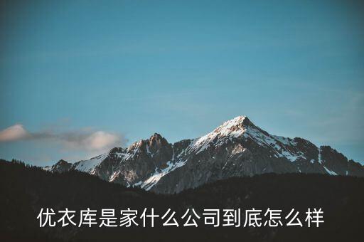 優(yōu)衣庫(kù)是家什么公司到底怎么樣