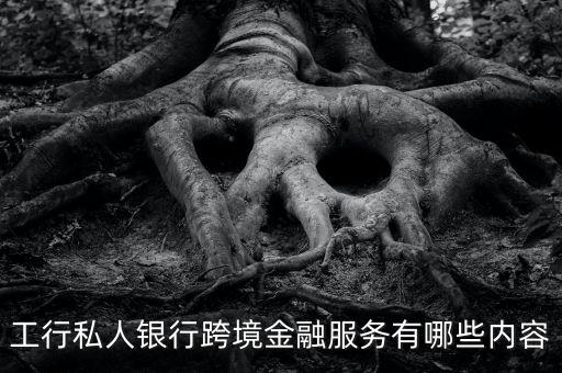 工行私人銀行跨境金融服務有哪些內(nèi)容
