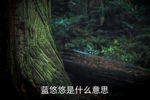 藍(lán)悠悠是什么意思