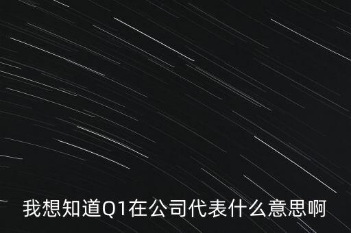 什么叫q2財報，我想知道Q1在公司代表什么意思啊