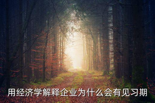 有用經濟學企業(yè)為什么有，運用經濟學常識說明喬布斯引領蘋果公司取得成功的原因