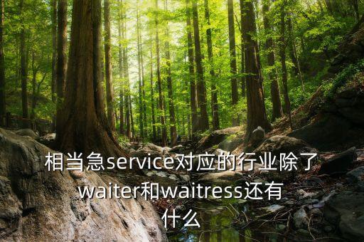 相當急service對應的行業(yè)除了waiter和waitress還有什么