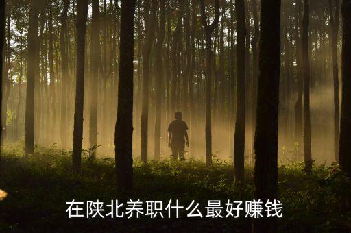 在陜北養(yǎng)職什么最好賺錢
