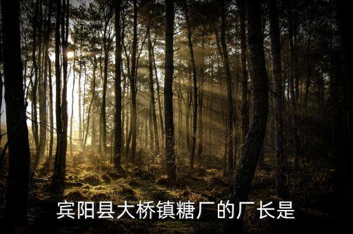 賓陽(yáng)縣大橋鎮(zhèn)糖廠的廠長(zhǎng)是