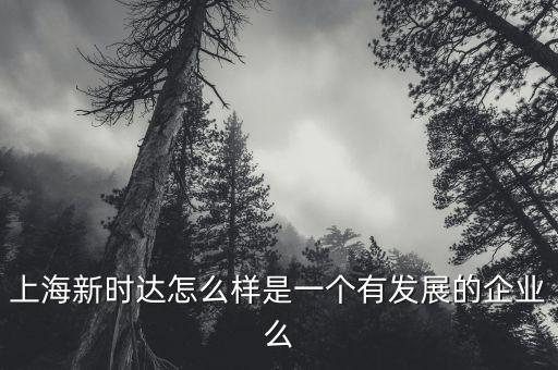 上海新時(shí)達(dá)怎么樣是一個(gè)有發(fā)展的企業(yè)么