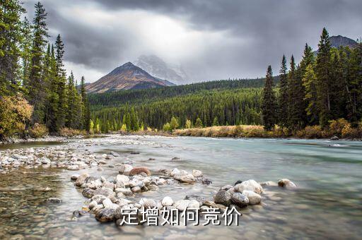 什么是定增競價定價，定增認購競價最終中的價格怎么確定