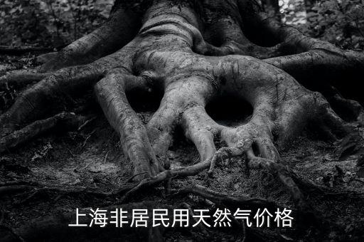 上海非居民用天然氣價(jià)格
