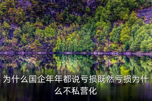 為什么國企年年都說虧損既然虧損為什么不私營化