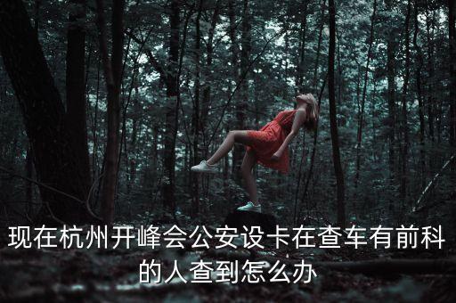 現(xiàn)在杭州開峰會公安設(shè)卡在查車有前科的人查到怎么辦