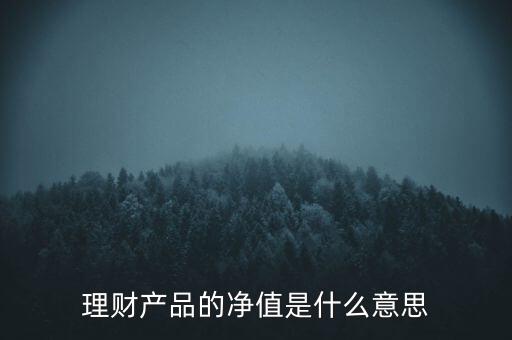 理財(cái)產(chǎn)品的凈值是什么意思