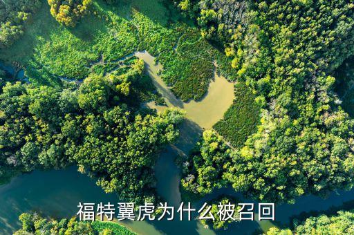 福特翼虎為什么被召回
