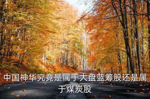中國神華是什么類型的股票，中國神華究竟是屬于大盤藍(lán)籌股還是屬于煤炭股