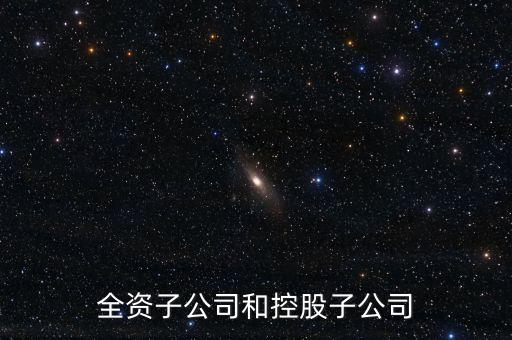 全資控股子公司是什么意思，全資子公司是怎么意思啊